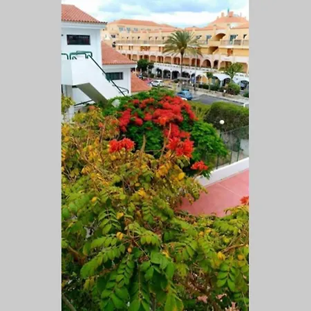 Surycan, Beautiful In Appartement Maspalomas (Gran Canaria)