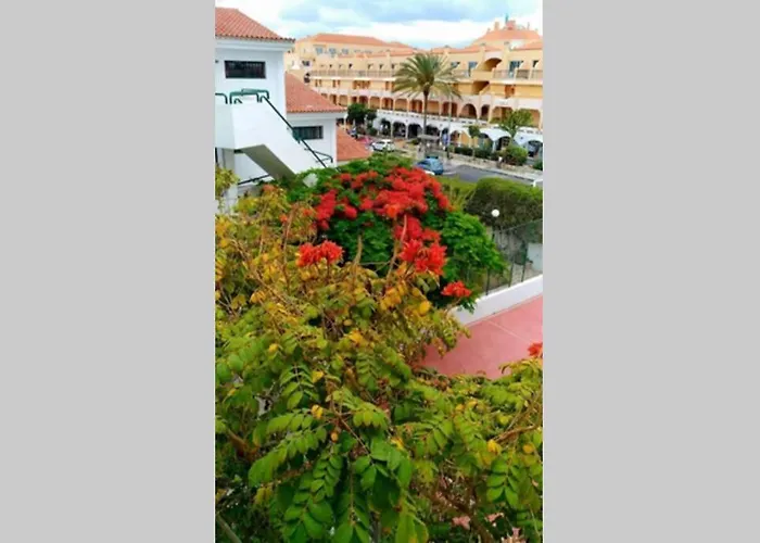 Surycan, Beautiful In Apartmán Maspalomas (Gran Canaria)