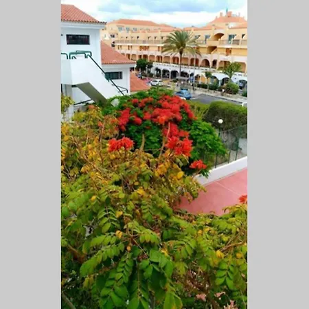 Surycan, Beautiful In Apartmán Maspalomas (Gran Canaria)